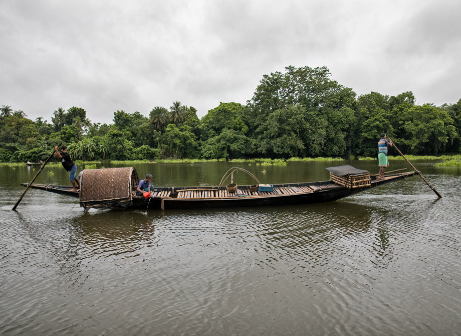 Otter Fishing in Bangladesh